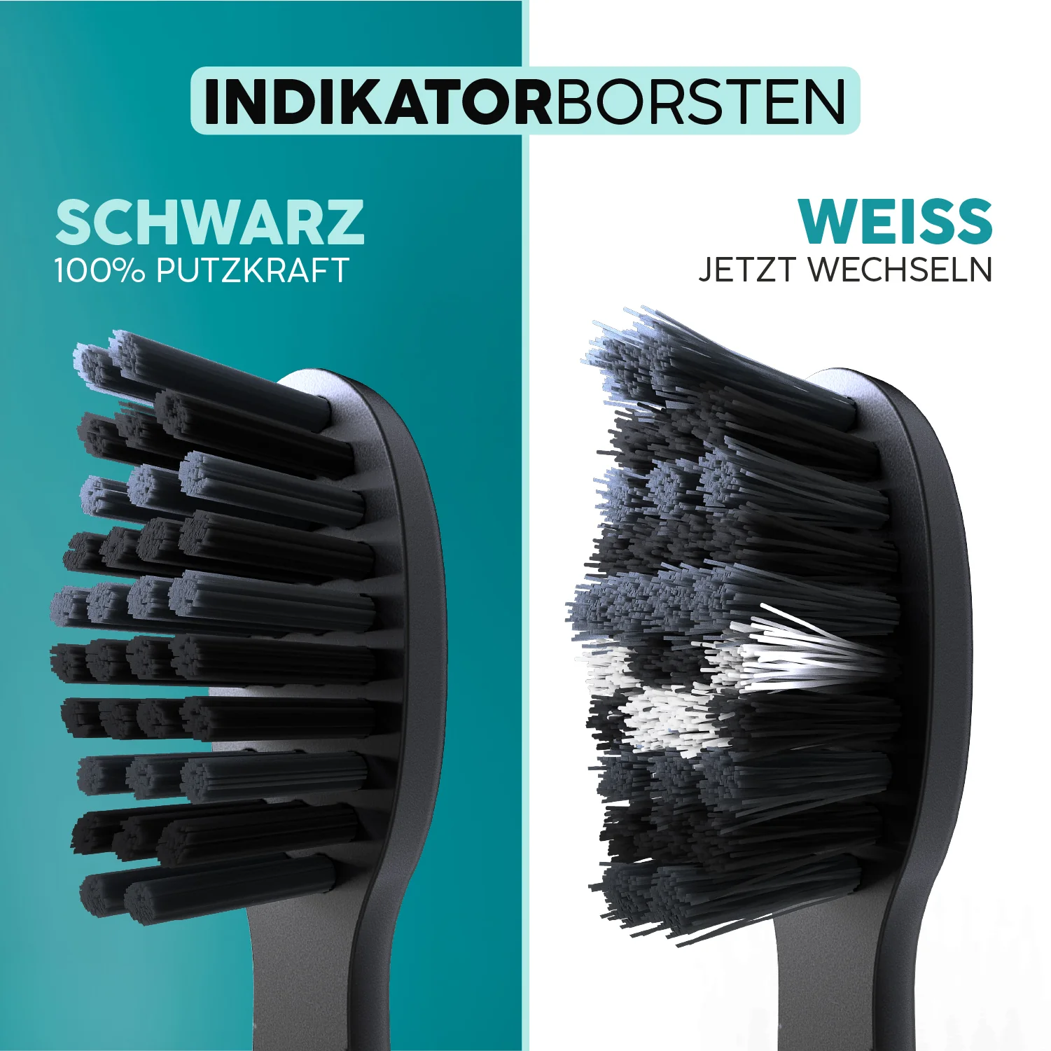 Aufsteckbürsten Eco Vibe 3+ | Allblack - Image 4