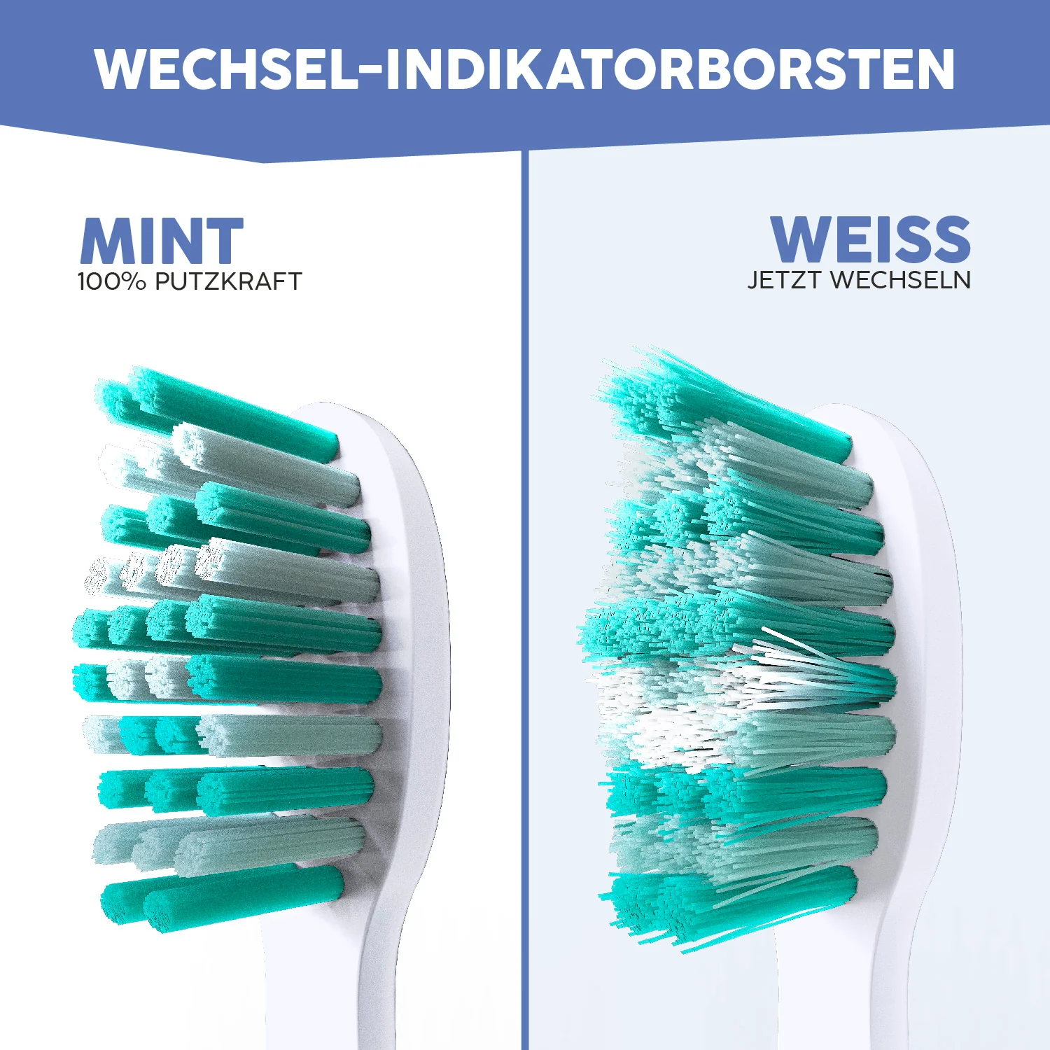 Aufsteckbürsten Eco Vibe 3+ | Agnes - Image 3
